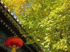 -潭柘寺景区