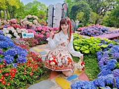 -上海鲜花港