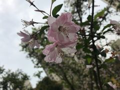-菁汇公寓