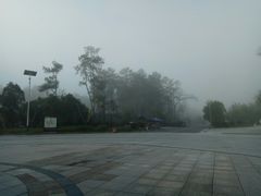 -九龙江国家森林公园