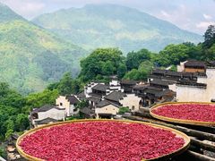-婺源风景区