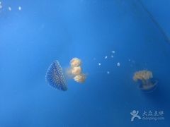 -常州海昌海洋探索馆