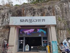 -贝壳梦幻世界