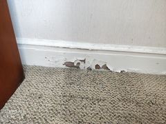 -上海棕榈滩海景酒店