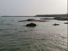 -渡海小渔村.老辈日照菜