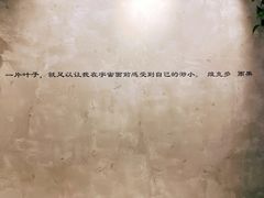 -金尚源SHANG