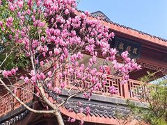 -堤角公园