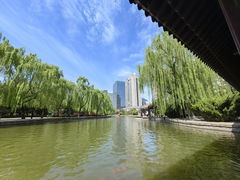 -团结湖公园
