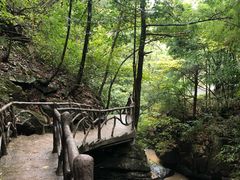 -藏龙百瀑风景区