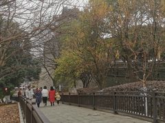 -巴陵广场