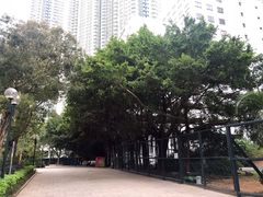 -九龙公园