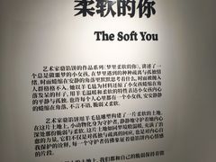-辰熙ACX星海艺术中心