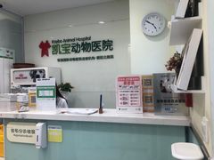 -悦宠凯宝动物医院·牙科·皮肤科(朝阳北路店)