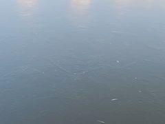 -迎泽公园