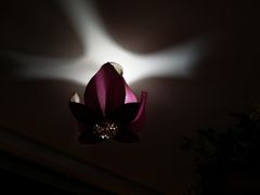 -火燒雲傣家菜(鼓楼店)