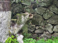 -宁波市保国寺古建筑博物馆