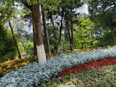 -铁山坪森林公园