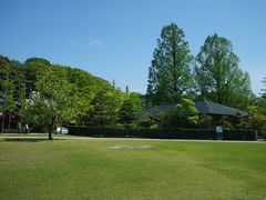 -金泽21世纪美术馆