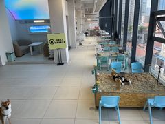 -怪兽屋·羊驼·猫咖·狗咖(俊华广场店)