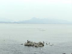 -深圳湾公园(南山区)