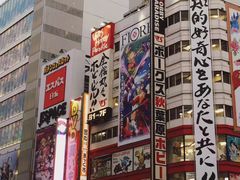 -秋叶原电器街