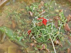 -写庭·鱼鲜川菜·宴请(铁像寺水街店)