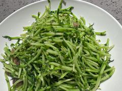 炒豆苗-荣家小吃(紫阳街店)