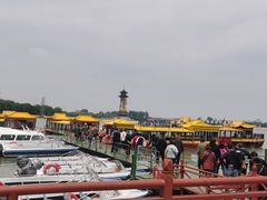 -溱湖国家湿地公园