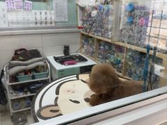 -宠颐生宠物医院·综合诊疗(先锋分院)