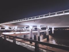 -演武大桥观景平台