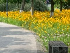 -长广溪湿地公园