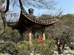 -杭州植物园