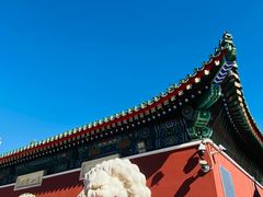 -天津大悲禅院