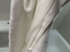 -香港皇家太平洋酒店