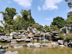 -东莞植物园