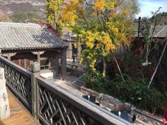 -疯克大象美式烤肉餐厅