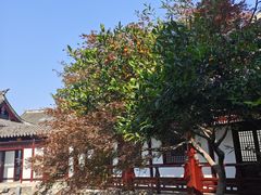 -常熟方塔园