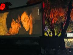 -枫花园汽车电影院(朝阳公园店)