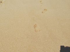 -金沙滩海水浴场(万平口景区4号门扬帆广场店)