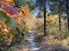 -北京西山国家森林公园