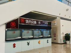 -招商蛇口邮轮母港(观光客运)