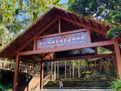 -七仙岭温泉国家森林公园
