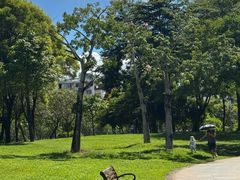 -莲花山公园