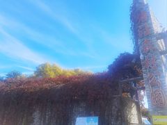 -塘沽森林公园