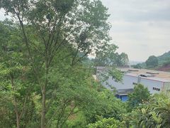 -桃源山庄·烤全羊·柴火鸡·烧烤团建(龙泉山店)
