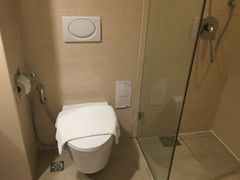 -沙巴希迪特酒店