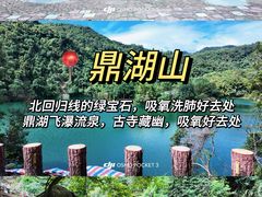 -鼎香皇高佬苏裹蒸粽