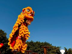 -光明农场大观园
