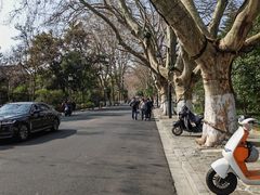 -北山街历史文化街区