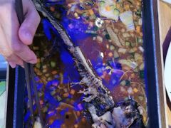 酱香烤鱼-美食小镇·观赏珍稀鸟类·长隆熊猫酒店